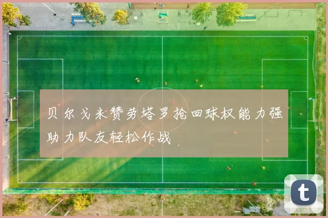 贝尔戈米赞劳塔罗抢回球权能力强助力队友轻松作战